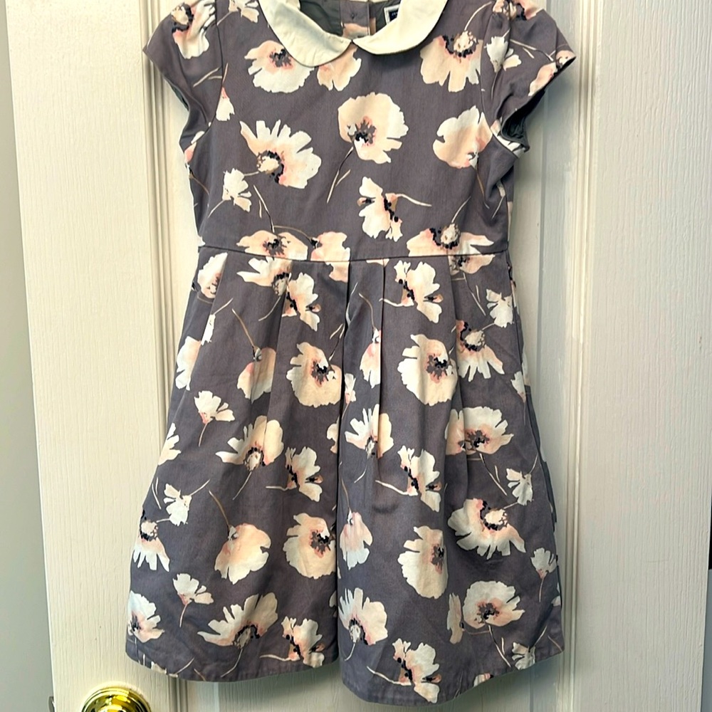 3/$10-Janie and Jack Blush Castle Gray Pink Floral Lined Special Occasion Dress